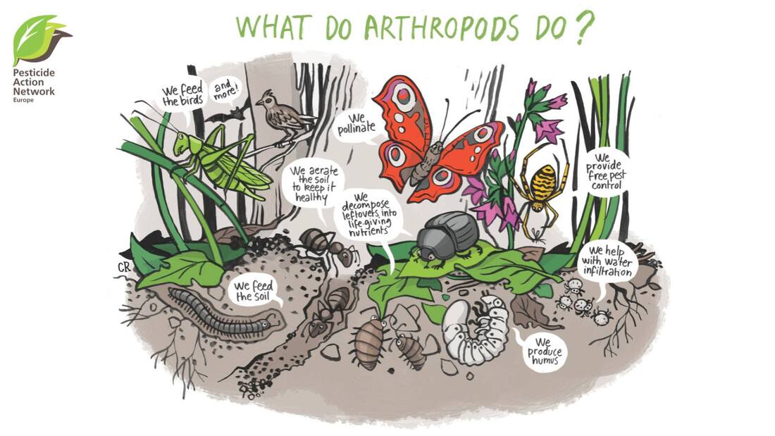 What do arthropods do? For healthy soil